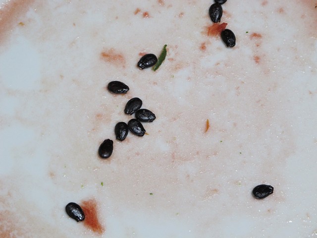 Seeds (Graines)