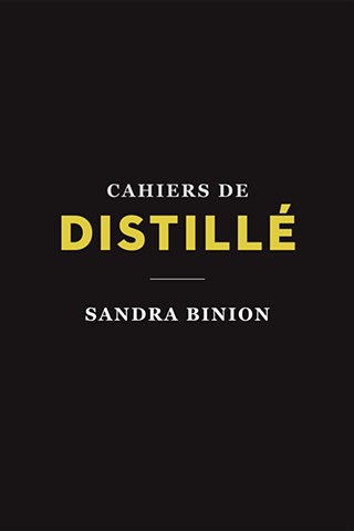 Distillé Notebooks, 2017
200 pages, 4 color, 6 x 9, edition of 300.
In English and French. Foreword by Scarlett Reliquet.