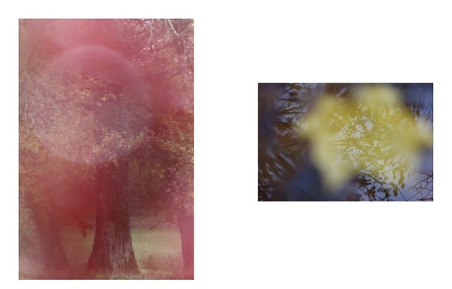 PHÉNOMÈNES OPTIQUES | OPTICAL PHENOMENA