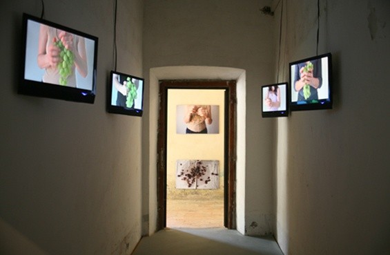 Exhibition Images