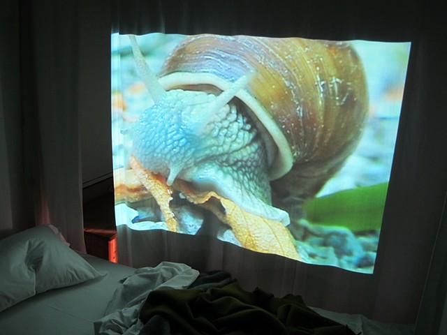 "Lumaca" video installation