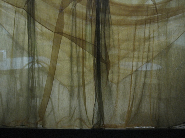 Veiled Window