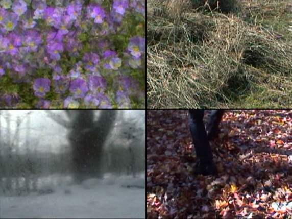 Seasons, video (quadrant format)