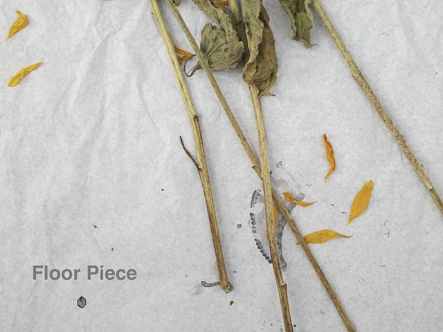 Sunflower stems as dye sublimation print