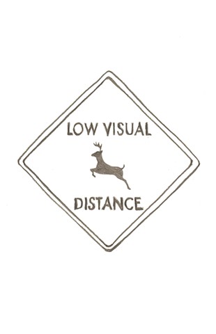 Low Visual Distance: A Process Book