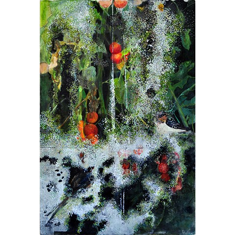 Bird, tomatoes and mold