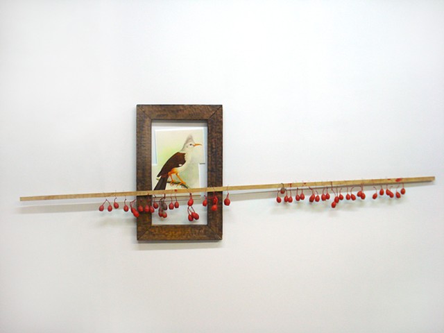 Water Kerner "Extinct Boubon Crested Starling" painting