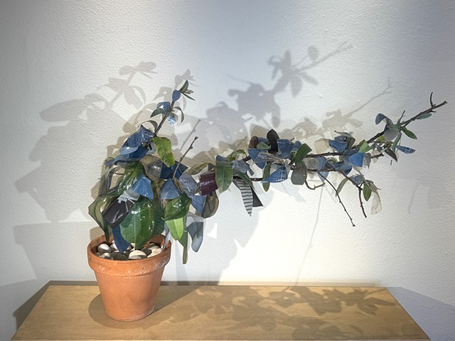 A Layered Space: Coming Up For Air (v.6)