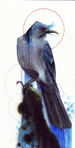 Blue Bird. 2010
