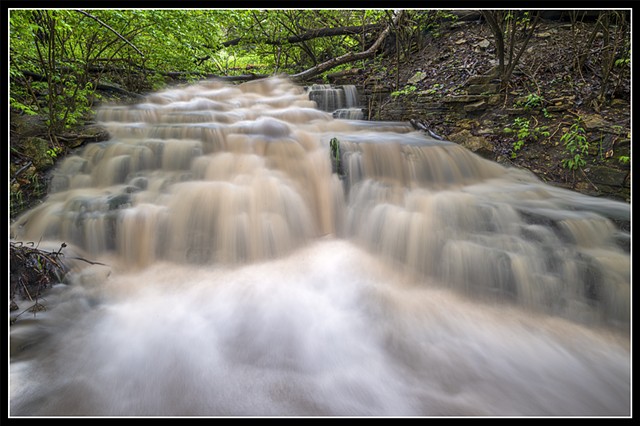 After the rain in Kankakee River State Park