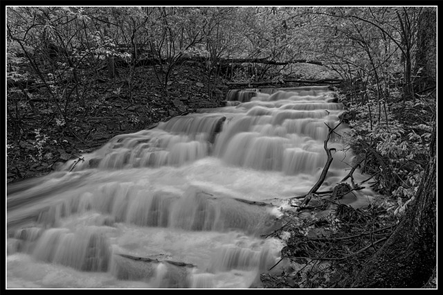 Spring Stream