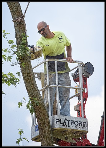 A&R Tree Service