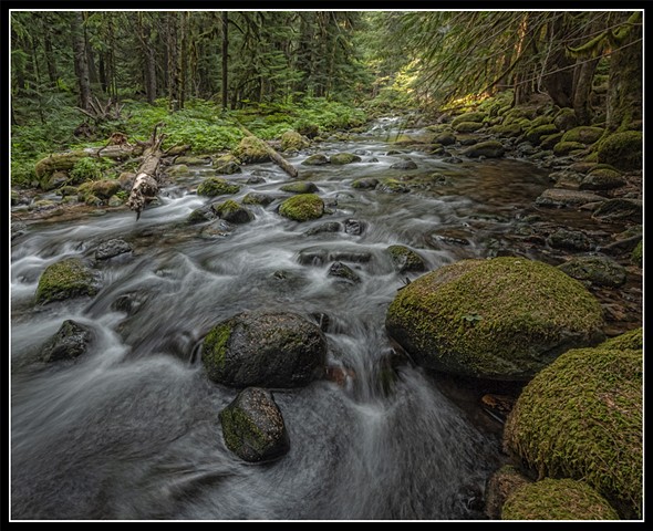 Oregon Stream