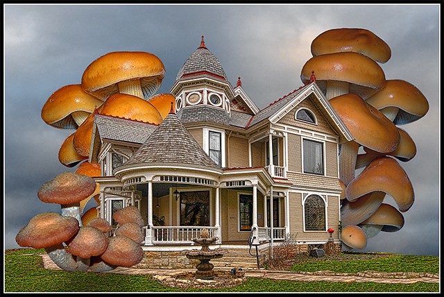 Mushroom Mansion
