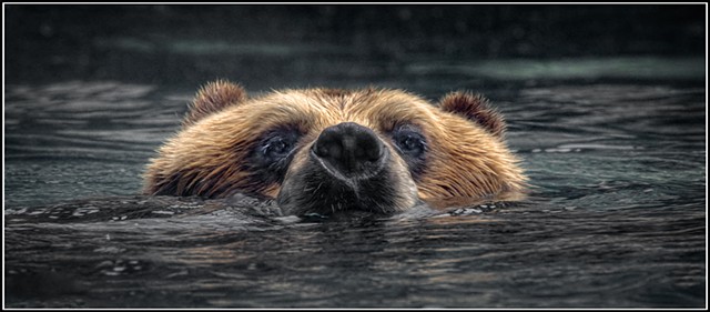 Bathing Beauty