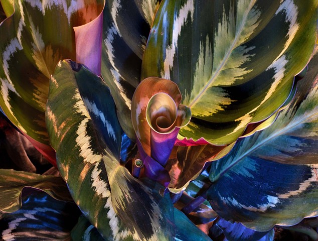 Dining Table Series, 2025