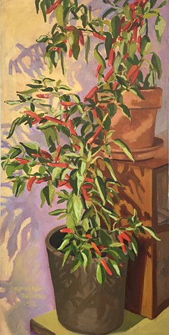 Two Pepper Plants