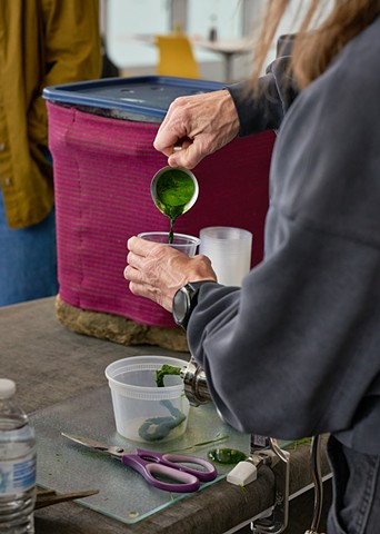 Sharing Wheatgrass juice
