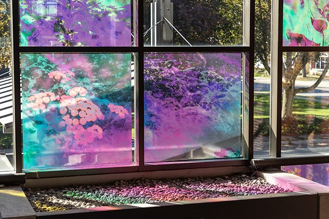 Natalie Hunter, You might as well try and hold the sun, Cambridge Galleries