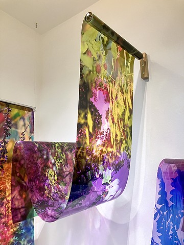 Natalie Hunter, You might as well try and hold the sun, Cambridge Galleries