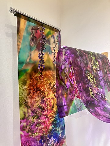 Natalie Hunter, You might as well try and hold the sun, Cambridge Galleries