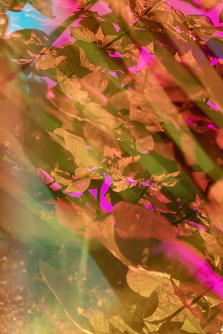 Bathed In Strange Light (Sky 24a)
