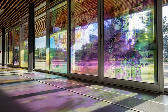 Natalie Hunter, The Bentway, Bathed In Strange Light, Toronto