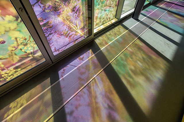 Natalie Hunter, The Bentway, Bathed In Strange Light, Toronto