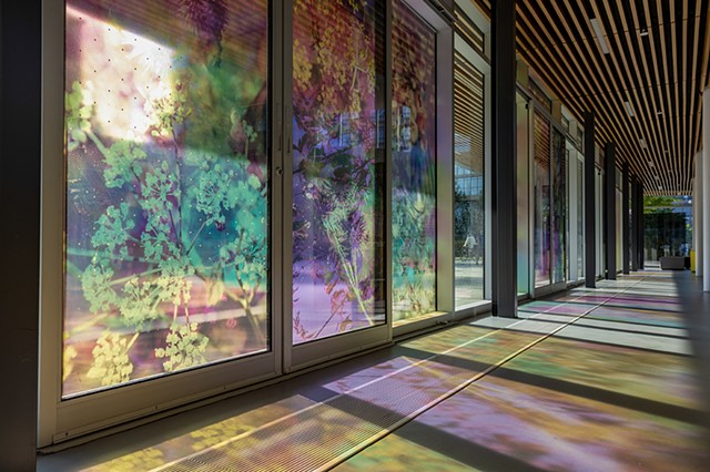 Natalie Hunter, The Bentway, Bathed In Strange Light, Toronto