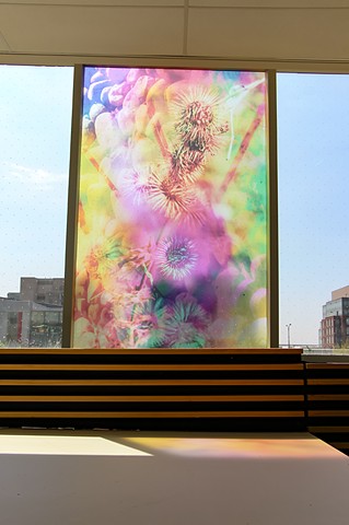Natalie Hunter, The Bentway, Bathed In Strange Light, Toronto