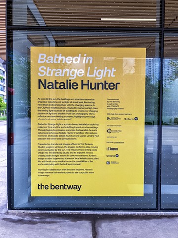 Natalie Hunter, The Bentway, Bathed In Strange Light, Toronto