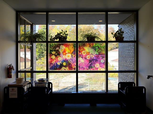 Natalie Hunter, You might as well try and hold the sun, Cambridge Galleries