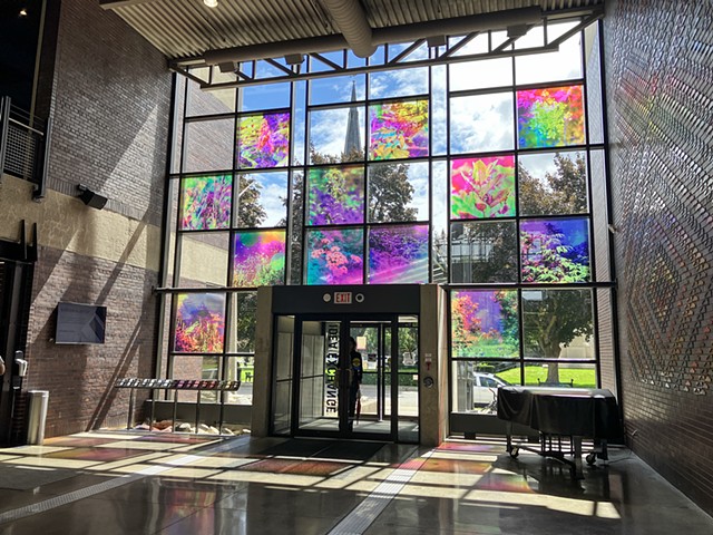 Natalie Hunter, You might as well try and hold the sun, Cambridge Galleries