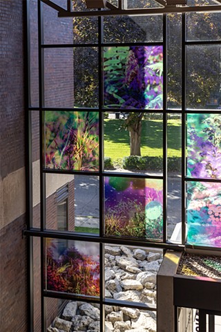 Natalie Hunter, You might as well try and hold the sun, Cambridge Galleries