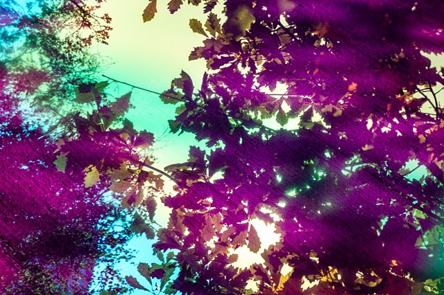 Bathed In Strange Light (Sky 24b)