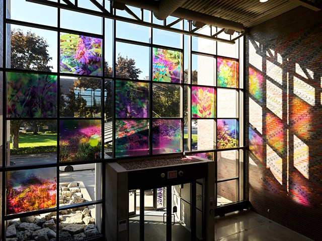 Natalie Hunter, You might as well try and hold the sun, Cambridge Galleries