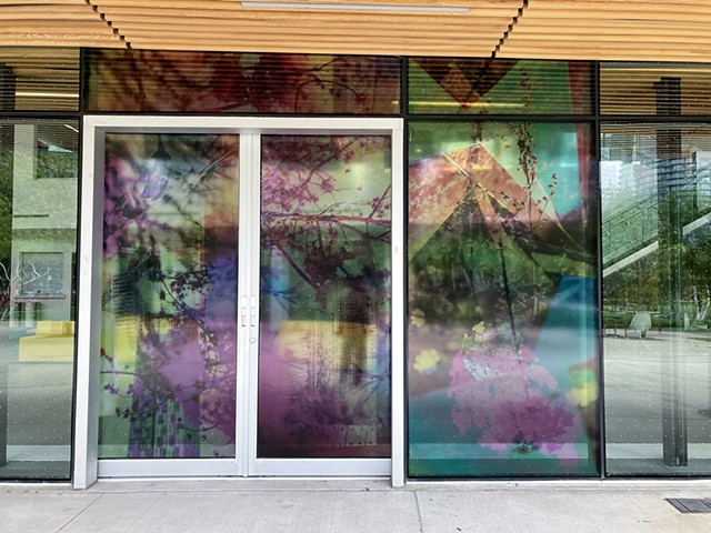 Natalie Hunter, The Bentway, Bathed In Strange Light, Toronto