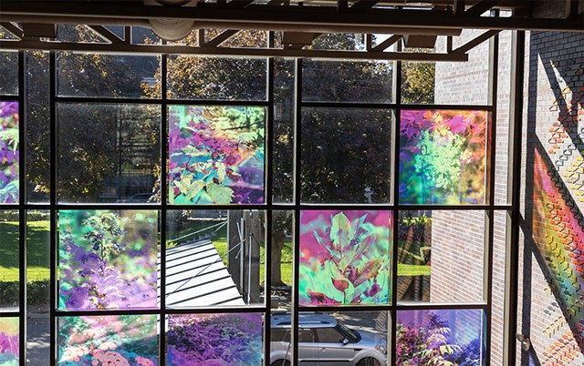 Natalie Hunter, You might as well try and hold the sun, Cambridge Galleries