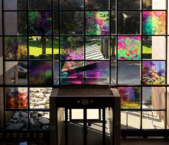 Natalie Hunter, You might as well try and hold the sun, Cambridge Galleries