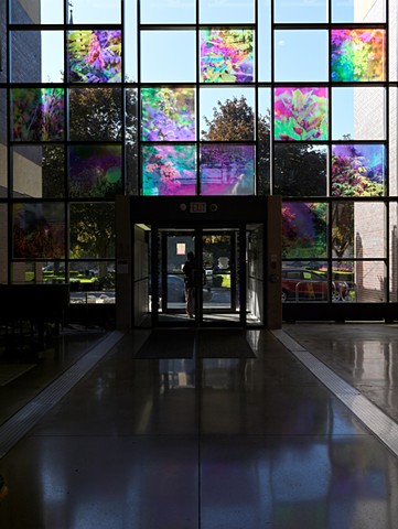 Natalie Hunter, You might as well try and hold the sun, Cambridge Galleries