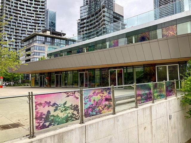 Natalie Hunter, The Bentway, Bathed In Strange Light, Toronto