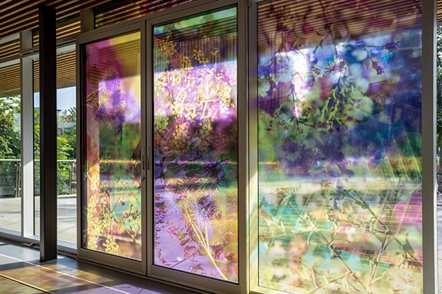 Natalie Hunter, The Bentway, Bathed In Strange Light, Toronto