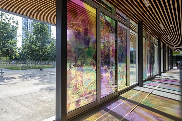 Natalie Hunter, The Bentway, Bathed In Strange Light, Toronto