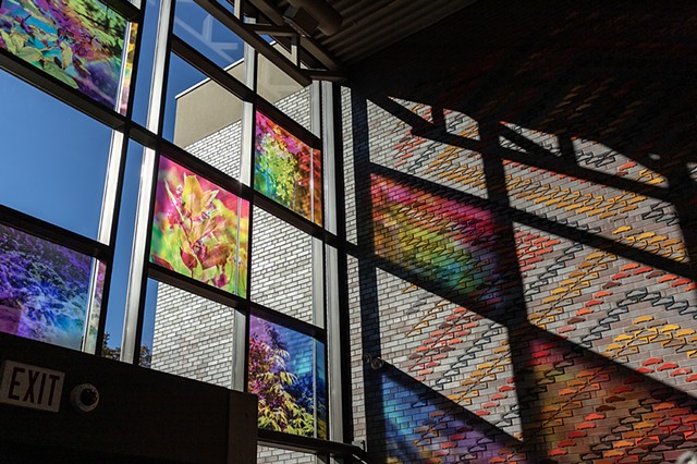 Natalie Hunter, You might as well try and hold the sun, Cambridge Galleries