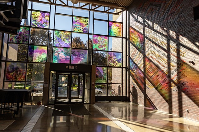 Natalie Hunter, You might as well try and hold the sun, Cambridge Galleries