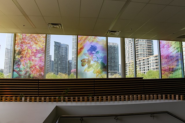 Natalie Hunter, The Bentway, Bathed In Strange Light, Toronto