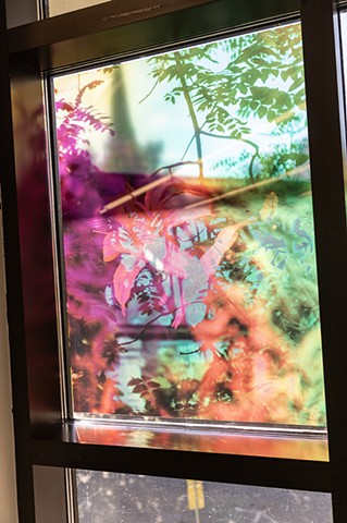 Natalie Hunter, You might as well try and hold the sun, Cambridge Galleries