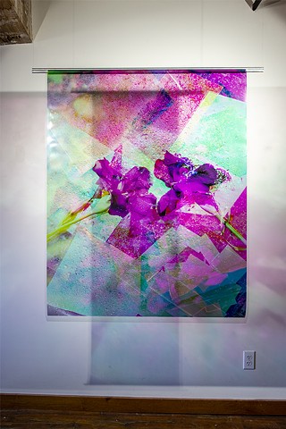 Crystal Garden, Mirrored Iris 02