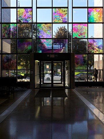 Natalie Hunter, You might as well try and hold the sun, Cambridge Galleries