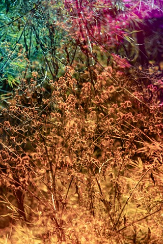 Bathed In Strange Light (Surface 11b)